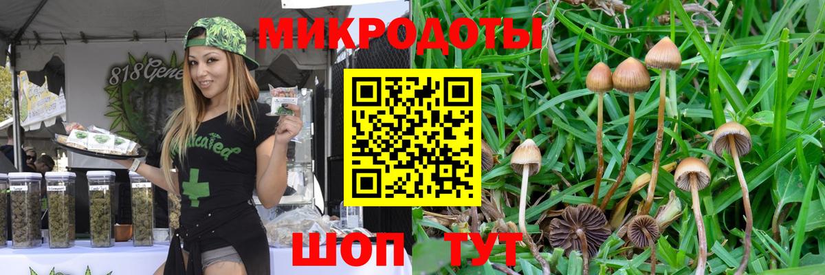 Галлюциногенные грибы Magic Shrooms Железногорск
