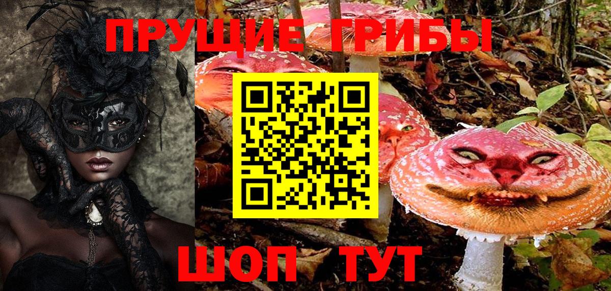 Галлюциногенные грибы ЛСД  Вход с VPN  Псилоцибиновые грибы мицелий  Железногорск 